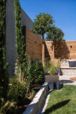 2026_07_10_Gartenprojekt_Friedingen_MG_5261_web