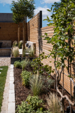2026_07_10_Gartenprojekt_Friedingen_MG_5299_web
