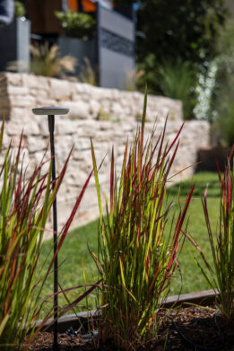 2026_07_10_Gartenprojekt_Friedingen_MG_5312_web