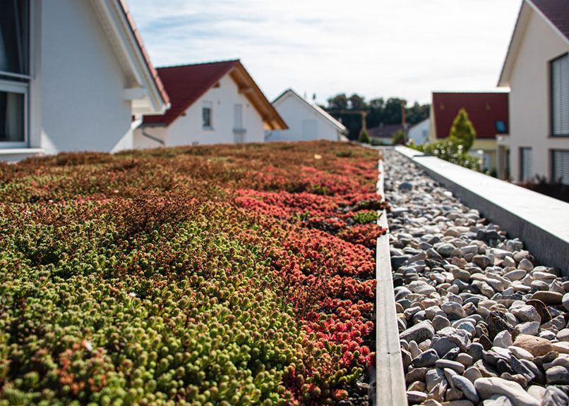 dachbegruenung-garten-landschaftsbau-steisslingen-und-hegau-baulandschaft-tobias-wolf-02