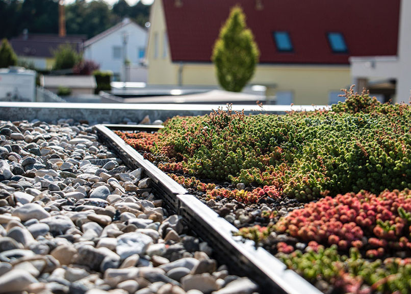 dachbegruenung-garten-landschaftsbau-steisslingen-und-hegau-baulandschaft-tobias-wolf