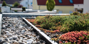 Eine Dachbegrünung vom Garten-Landschaftsbau-Unternehmen bauLANDSCHAFT Tobias Wolf