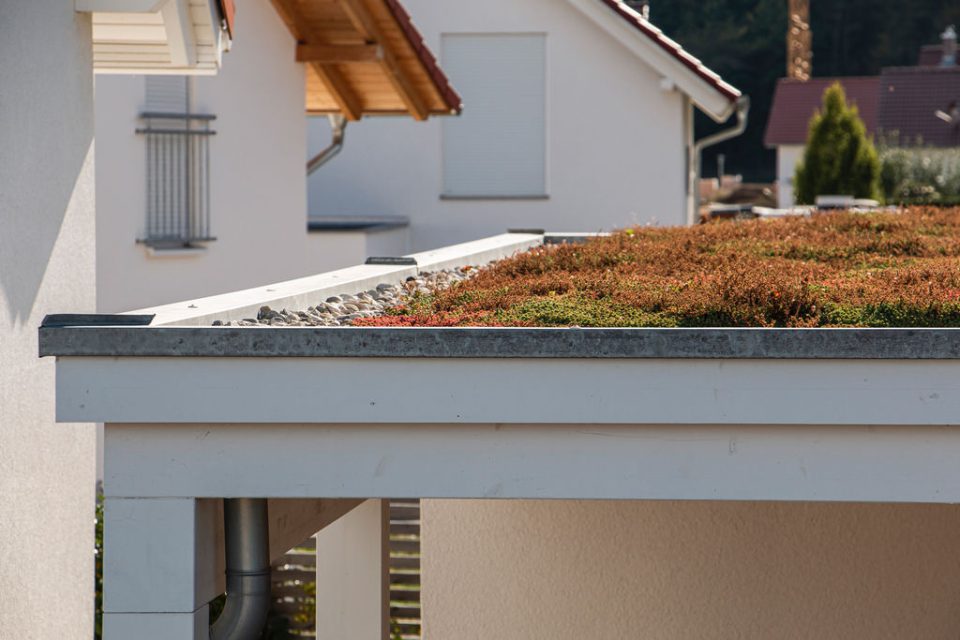 Begrünung eines Garagendachs