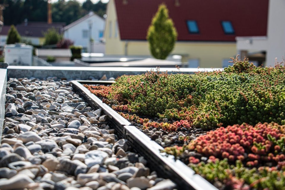 Eine Dachbegrünung vom Garten-Landschaftsbau-Unternehmen bauLANDSCHAFT Tobias Wolf