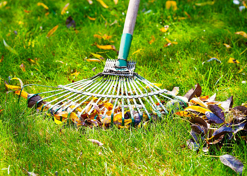 Gartenpflege in Steißlingen und Umgebung
